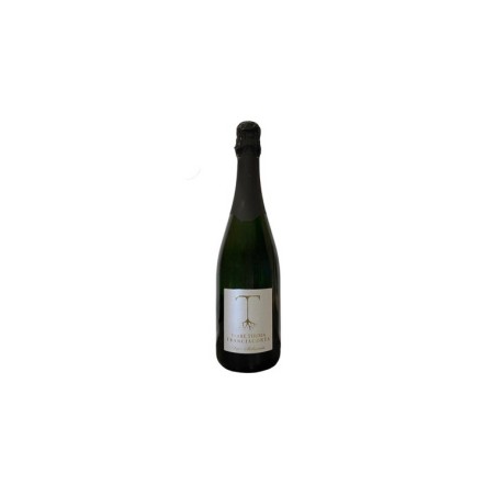 FRANCIACORTA TERRE THURIA SATEN